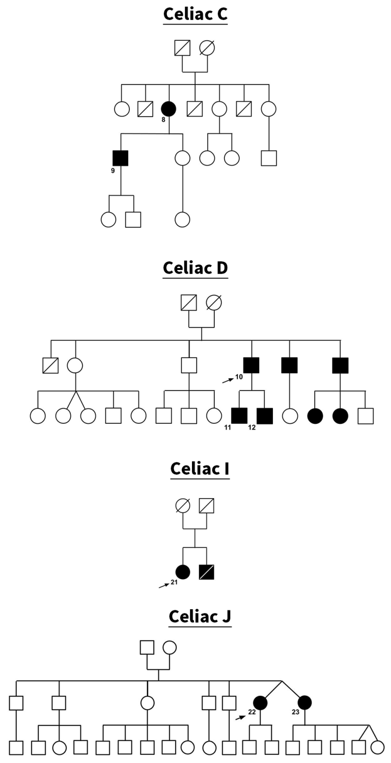 Pedigree analysis – Chromosomes, Genes, and Traits: An Introduction to ...