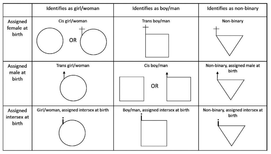 Table: row 1 column 1 Cis girl/woman Row 1 column 2 Trans boy/man. Row 1 column 3 is Non-binary. Row 2 column 1 Trans girl/woman. Row 2 column 2 is Cis boy/man. Row 2 column 3 is Non-binary, asigned male at birth. Row 3 column 1 is Girl/woman, assigned intersex at birth. Row 3 column 2 is boy/man, assigned intersex at birth. Row 3 column 3 is Non-binary, assigned intersex at birth.