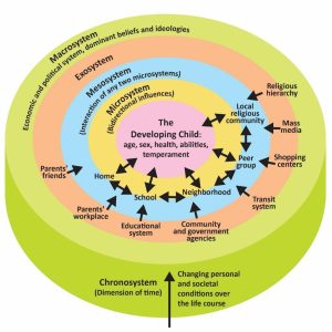 Illustration of four rings around a core labeled, "The Developing Child: age, sex, health, abilities, temperament." The first and smallest ring around the core is yellow and labeled as the Microsystem. The second ring is blue and labeled as the Mesosystem. The third ring is orange and labeled as Exosystem. The fourth ring is yellow-green and labeled as the Macrosystem.