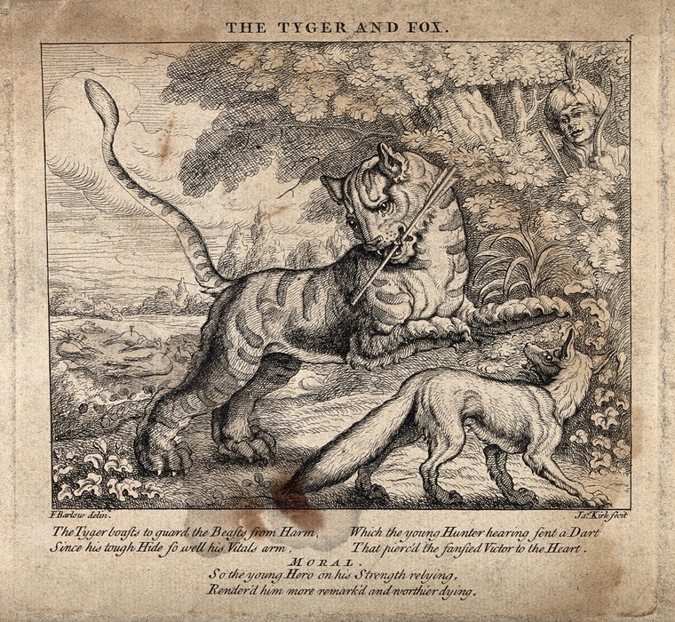 Illustration of a tiger with an arrow in its mouth in the center. Below is a fox looking in the direction of the tiger. In the background is a face of a hunter in the bushes