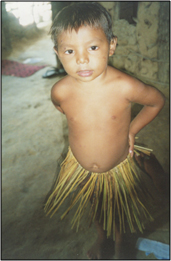 Photo of a young Jenipapo-Kanindé boy shows off his grass skirt prior to a community dance, 2001.