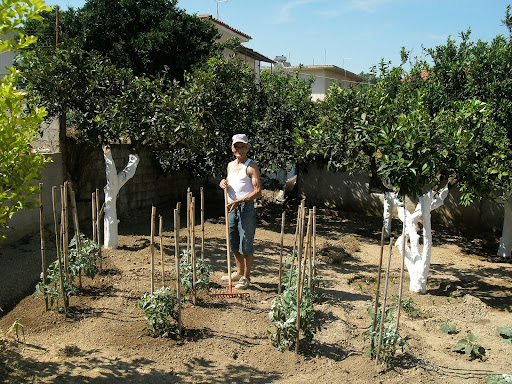 Photo of man holding a gardening tool in the middle of a garden