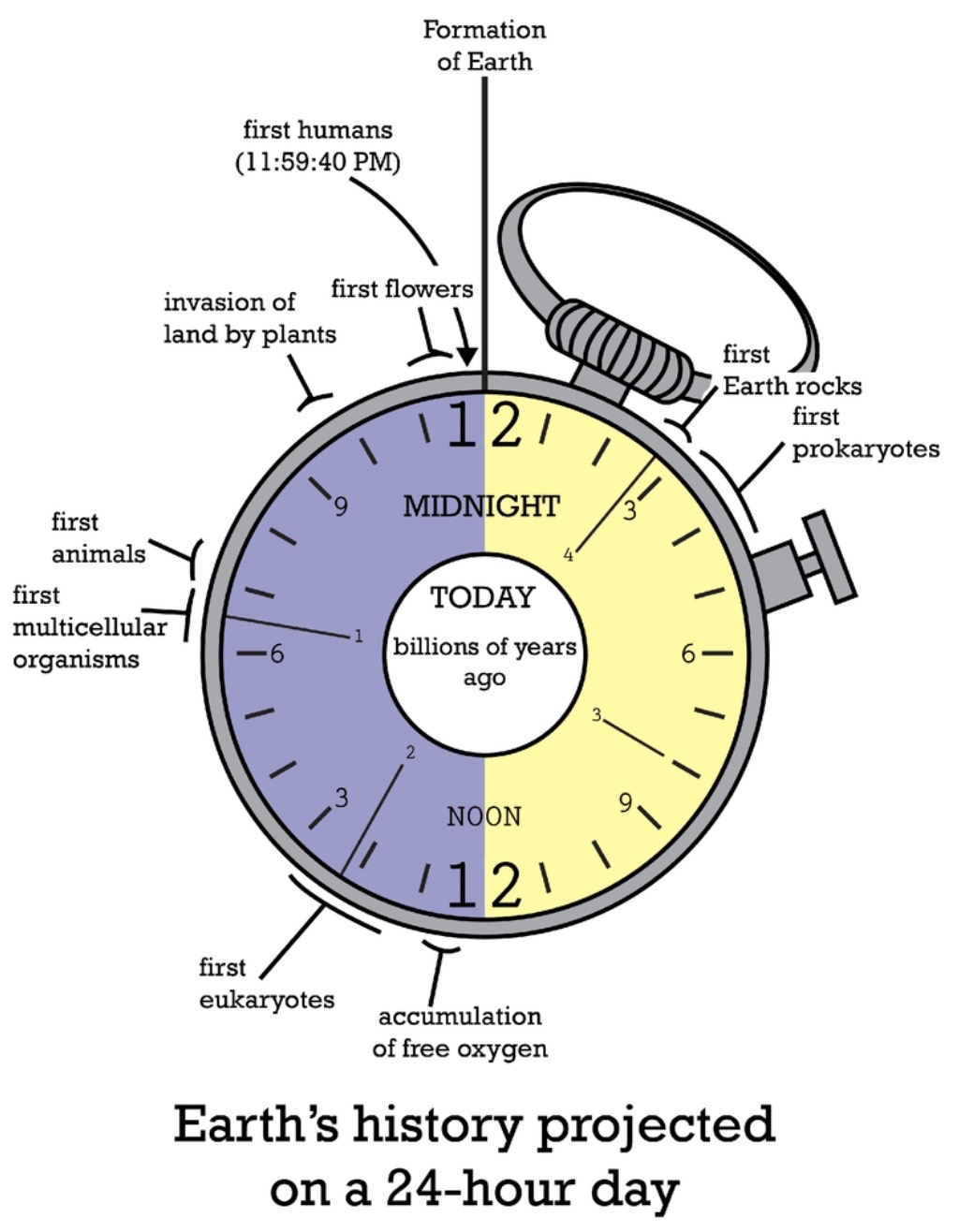 Illustration of the face of a clock from 1 to 12 and 12 to 1.