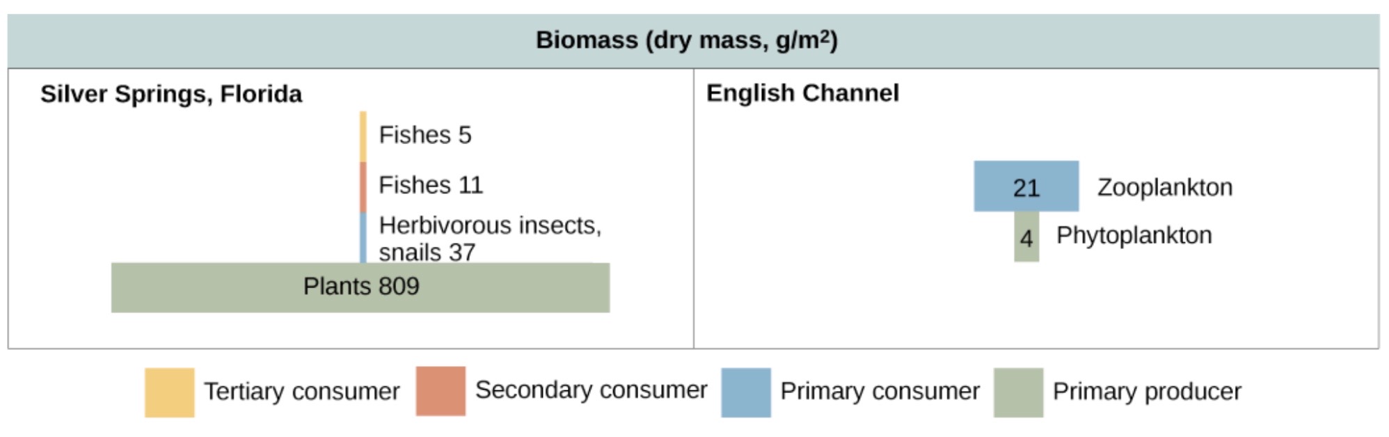 a pyramid diagram of the number of individuals per 0.1 hectare in a summer grassland. There are 1,500,000 grass plants, 200,000 herbivorous insects, 90,000 predatory insects, and 1 bird. Part A: on the right is a pyramid diagram of organisms per 0.1 hectare in a temperate forest. There are 200 trees, 150,000 herbivorous insects, 120,000 predatory insects, and 5 birds.