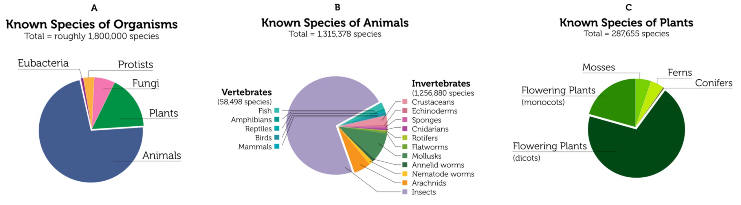 three pie charts of known species of organisms, animals, and plants.