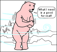 Illustration of shivering polar bear.