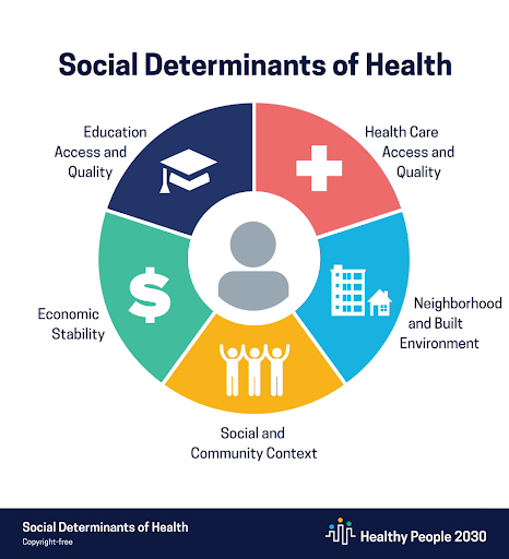 The 5 social determinants of health