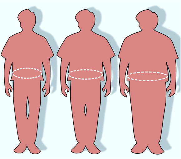 Illustration of three different size waist circumferences.